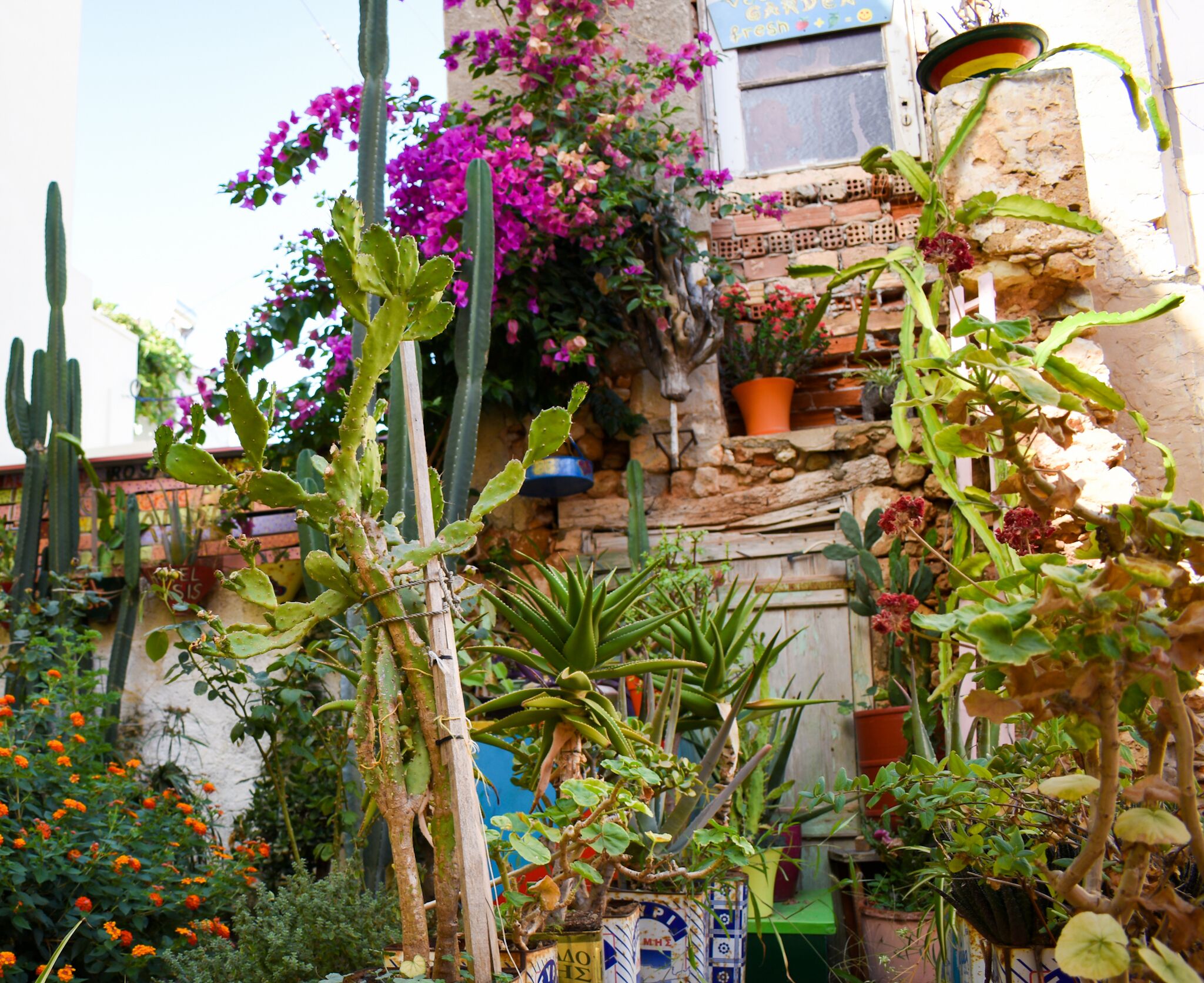 Poco Loco Hotel