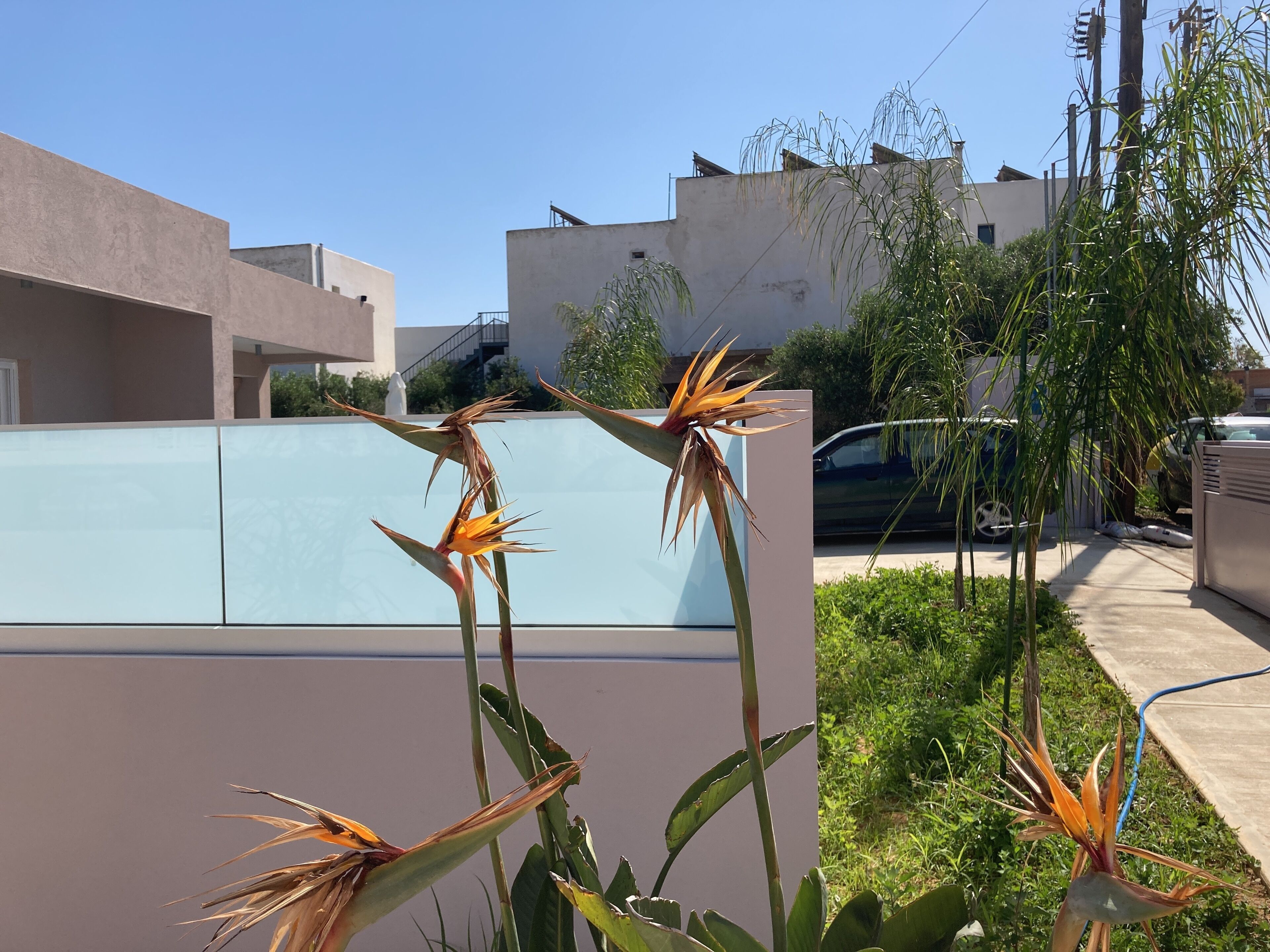 Sarpidon Suites