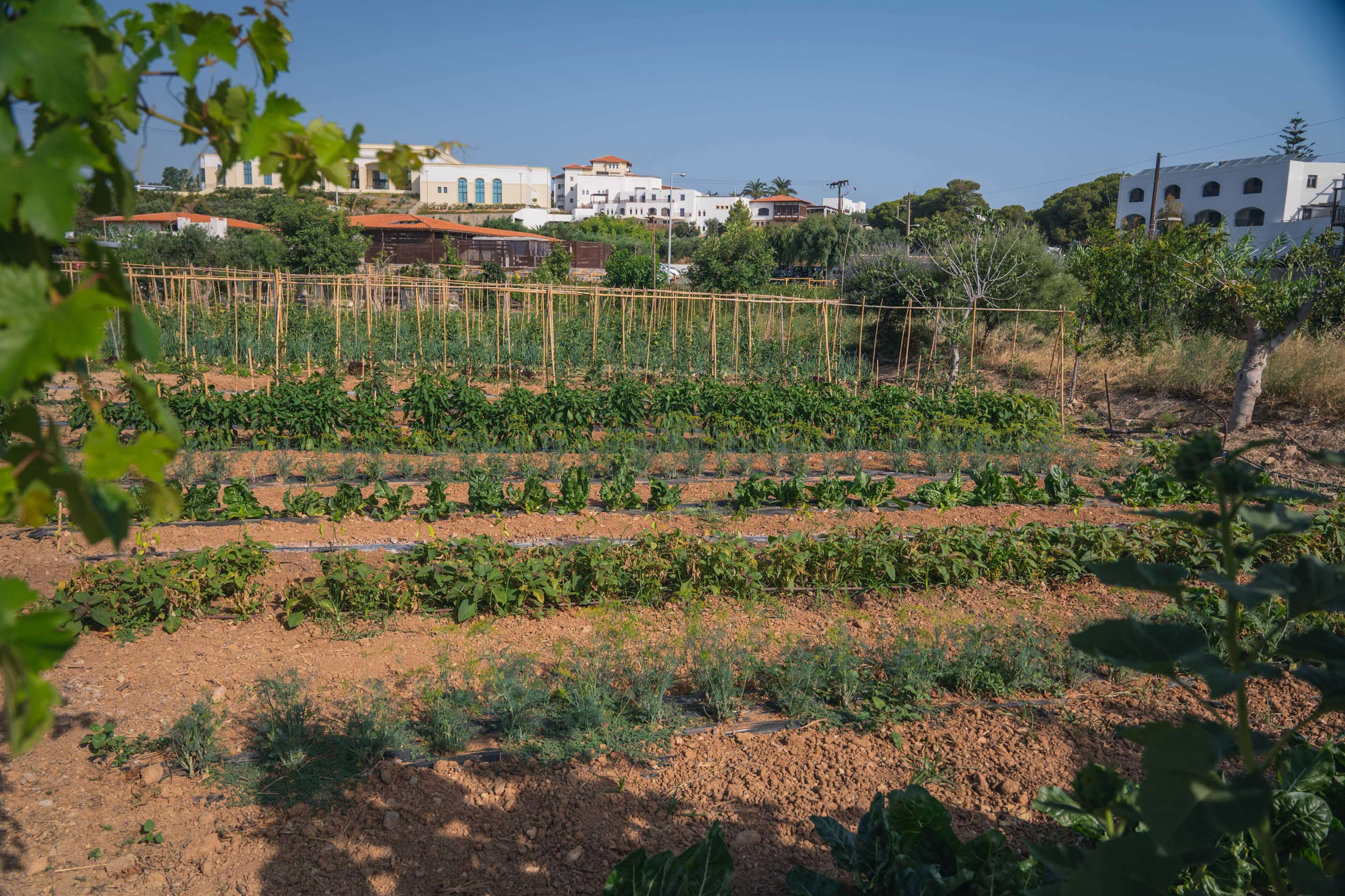 Creta Maris Resort