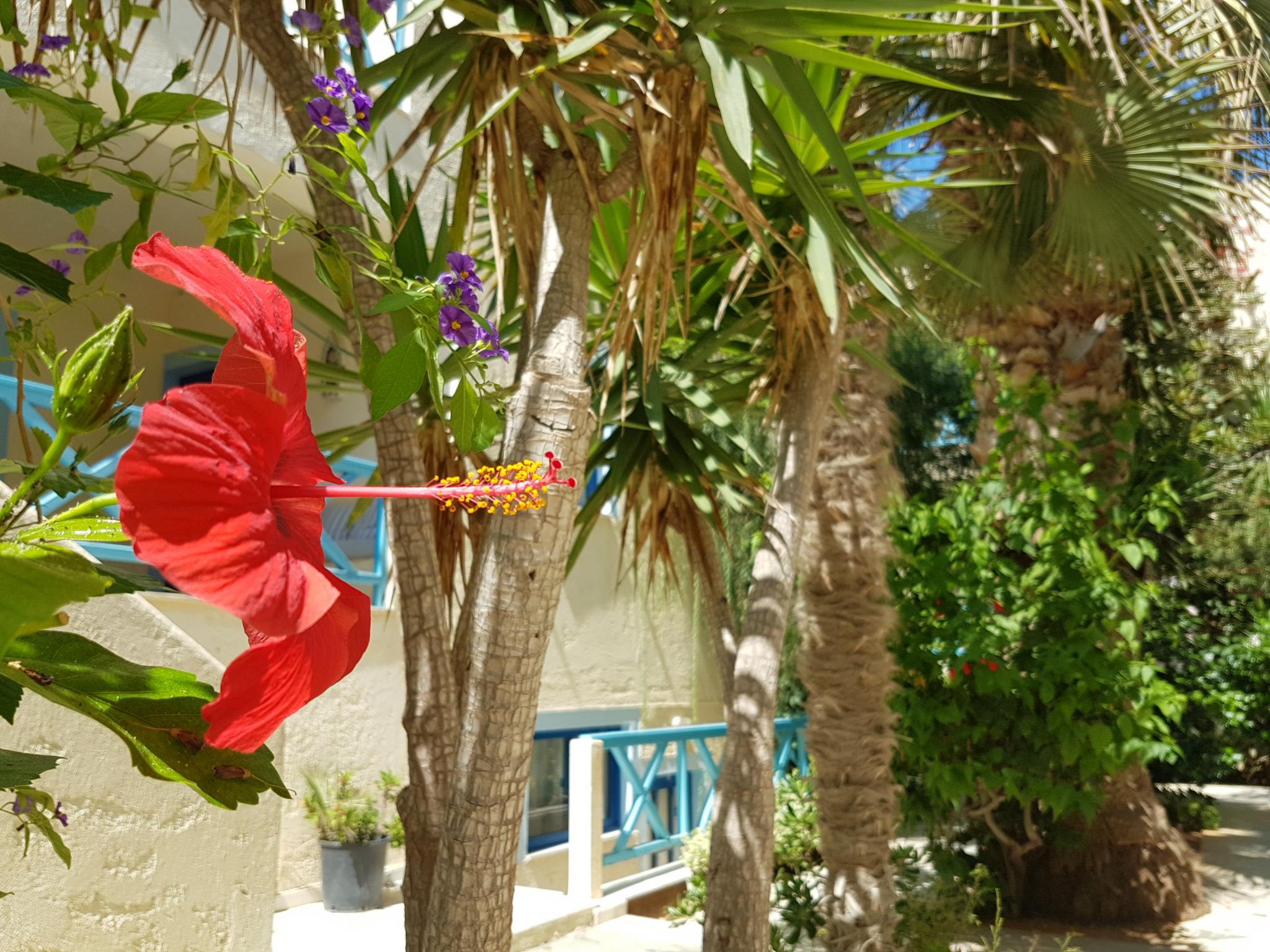 Galazio Beach Resort by Estia
