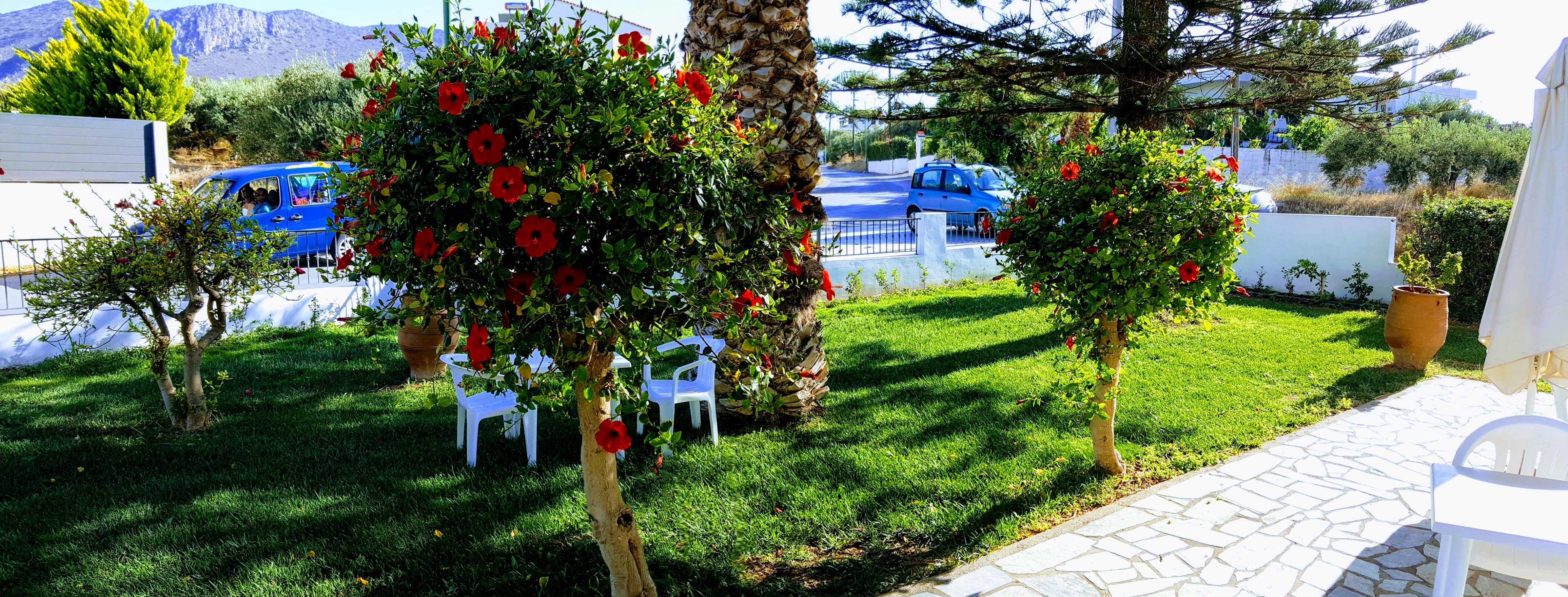 Mastorakis Hotel & Studios