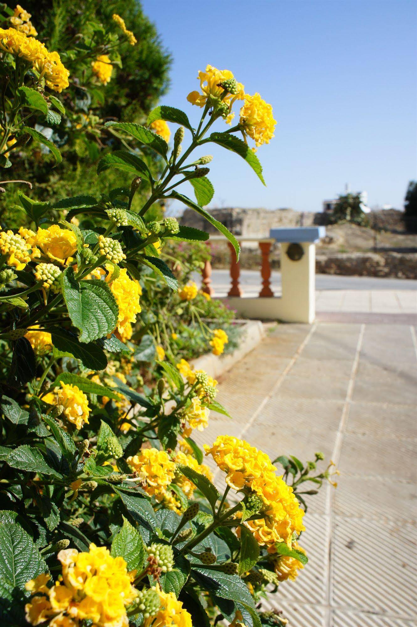 Senses Blue Boutique Hotel