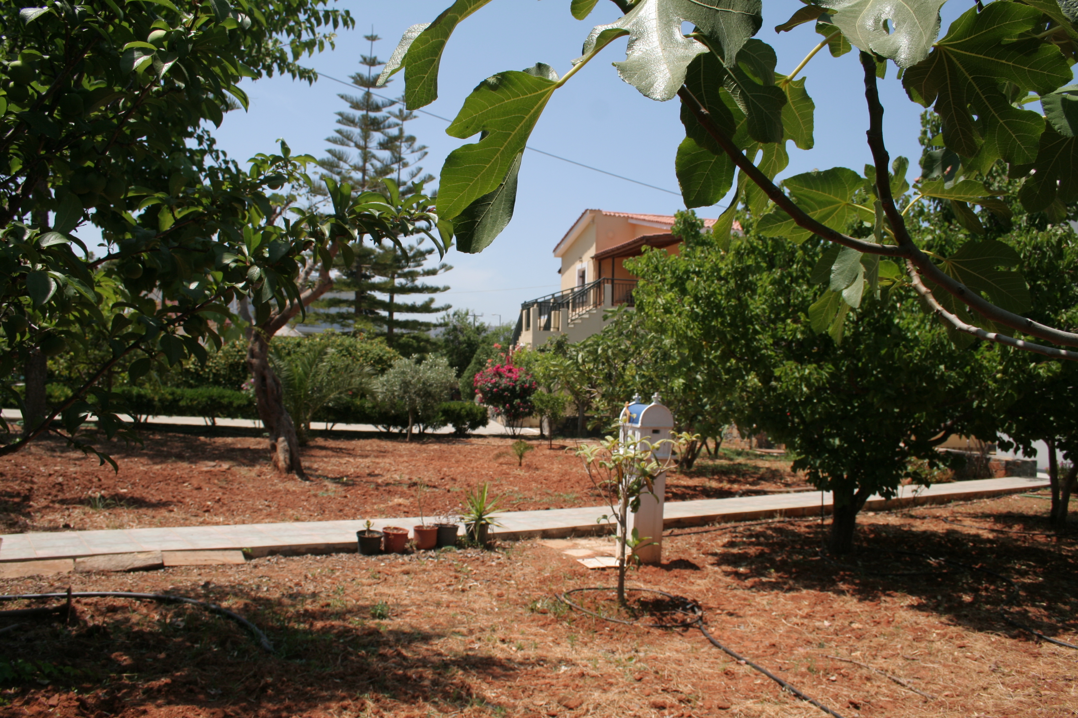 Villa Medusa