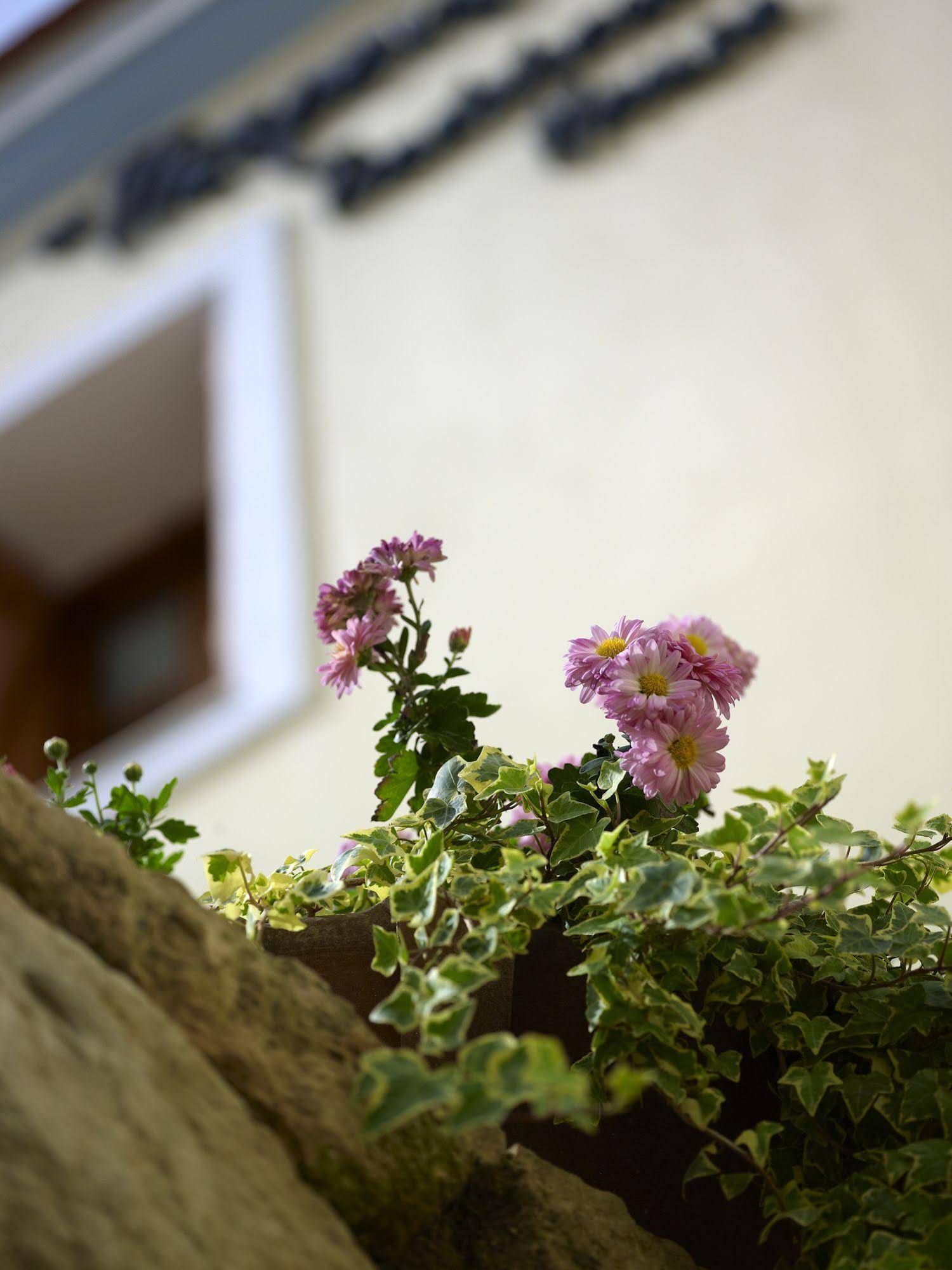 Traditional House Petronikolis