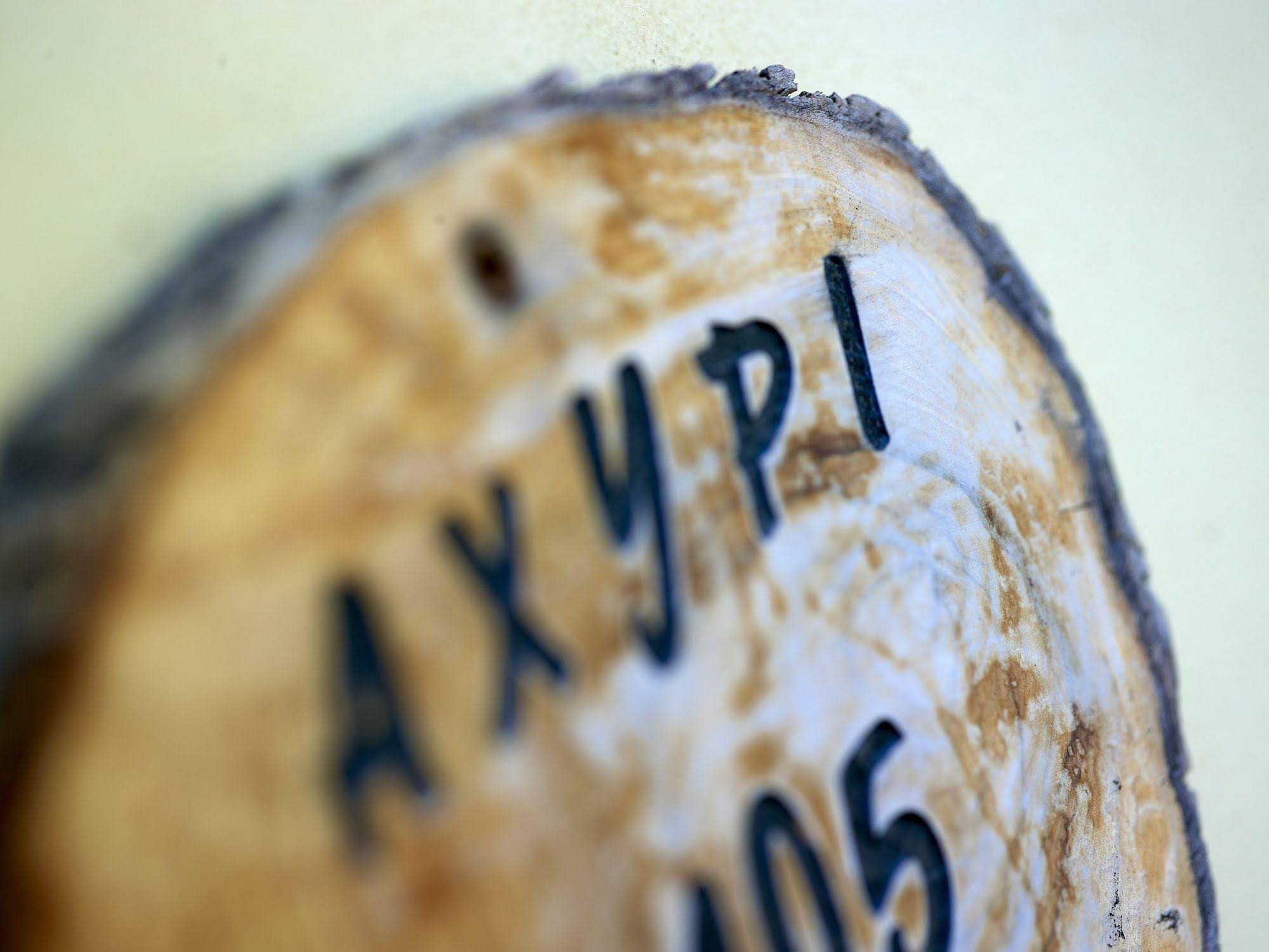 Traditional House Petronikolis