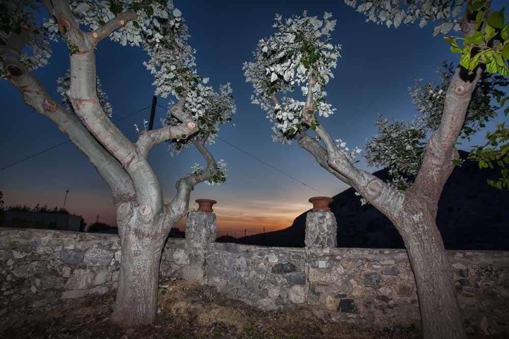 Petrinos Mylos