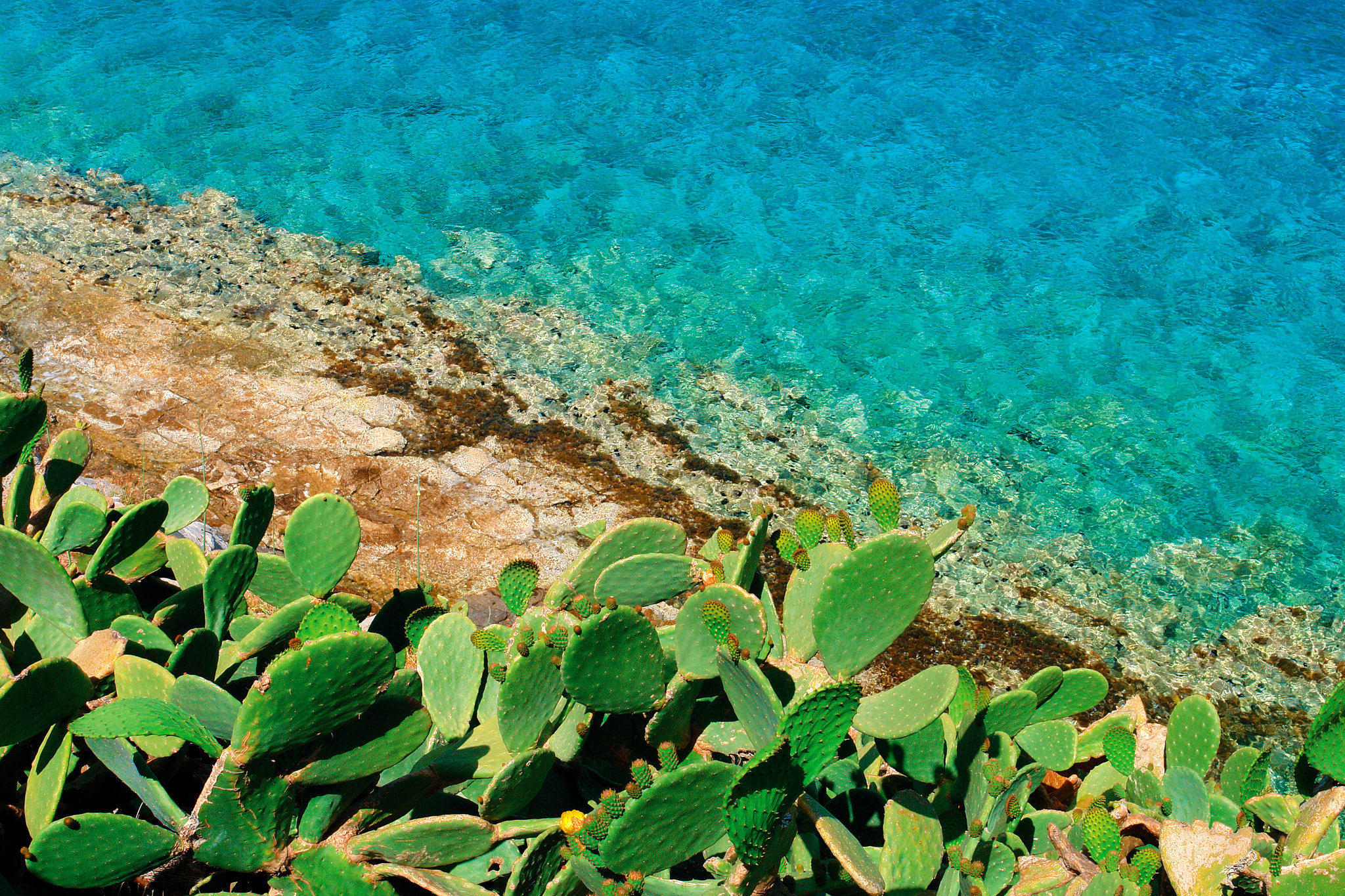 Phaea Blue,Elounda, Crete