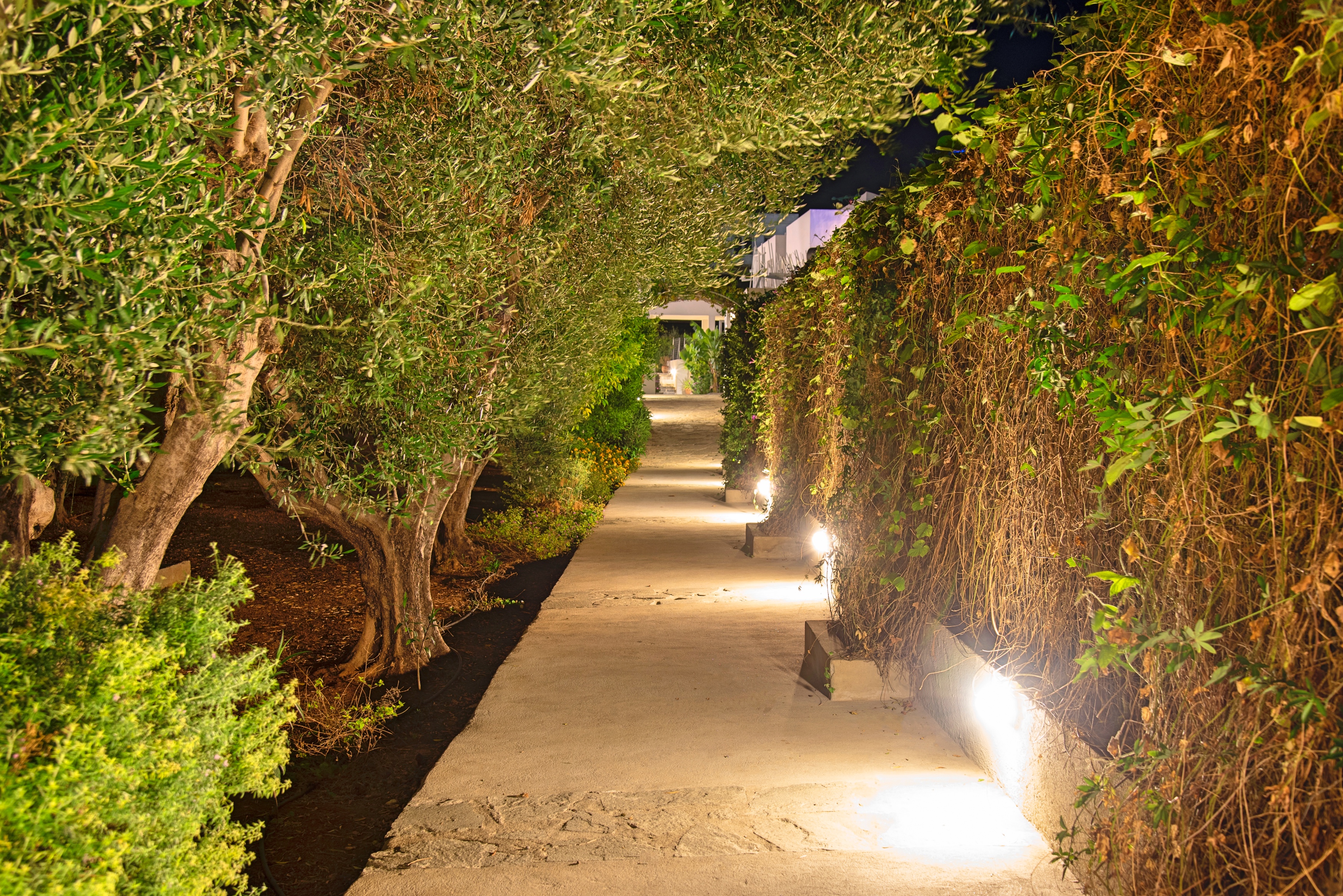 Elounda Garden Suites
