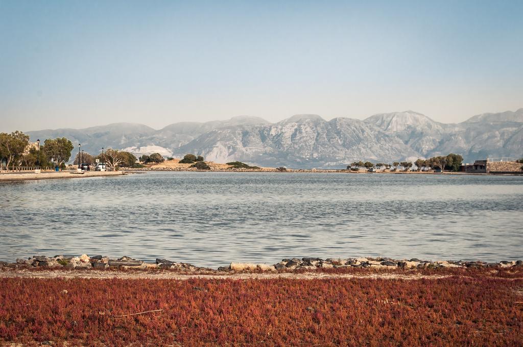 Elounda Olive Garden Studios