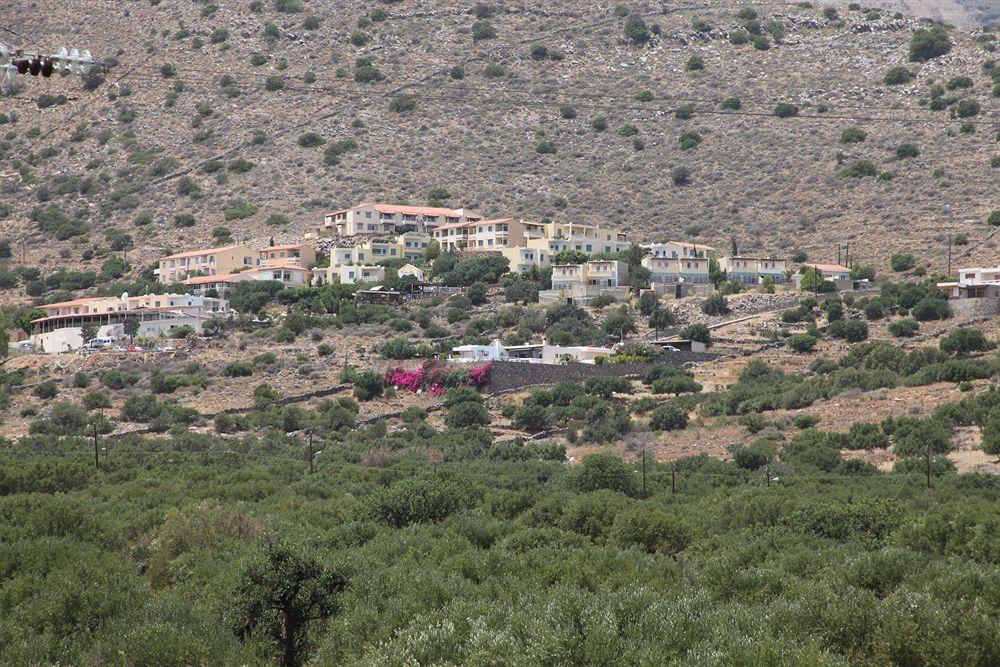 Elounda Olive Garden Studios