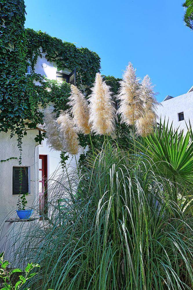 Kalypso Hotel