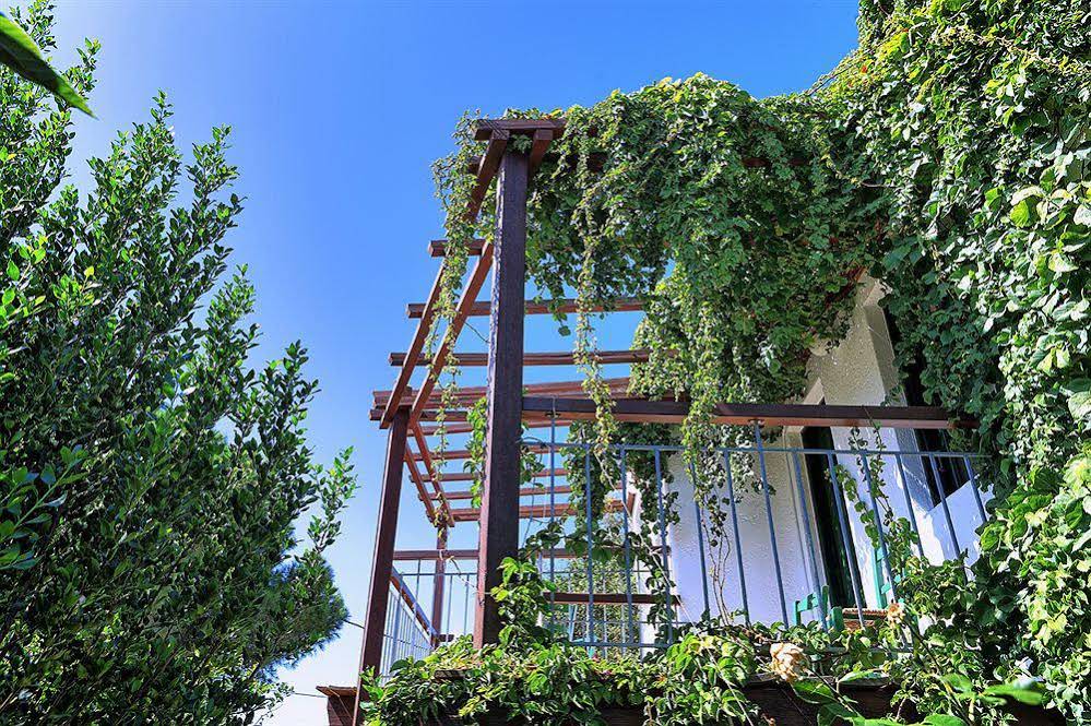 Kalypso Hotel
