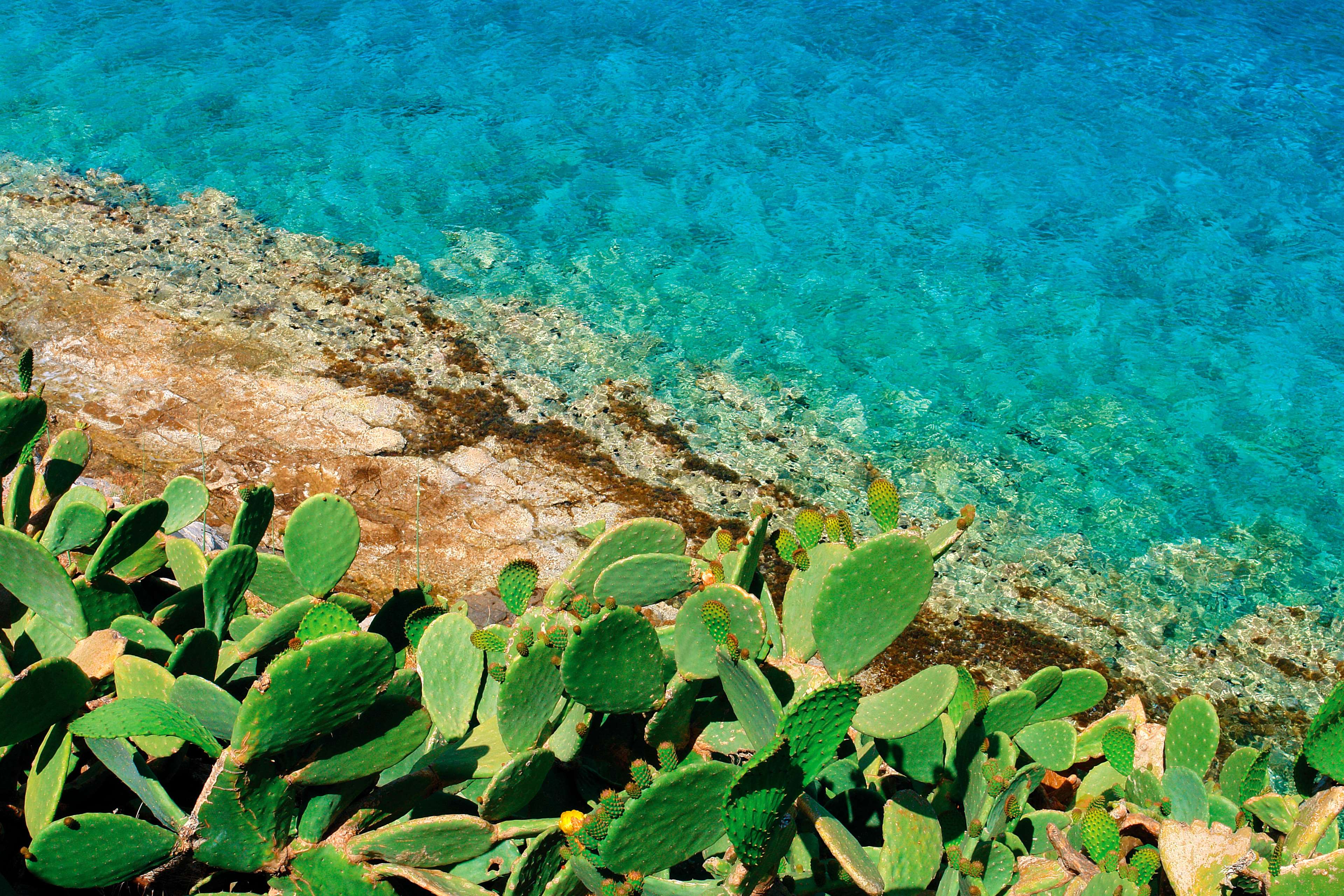 Phaea Blue,Elounda, Crete