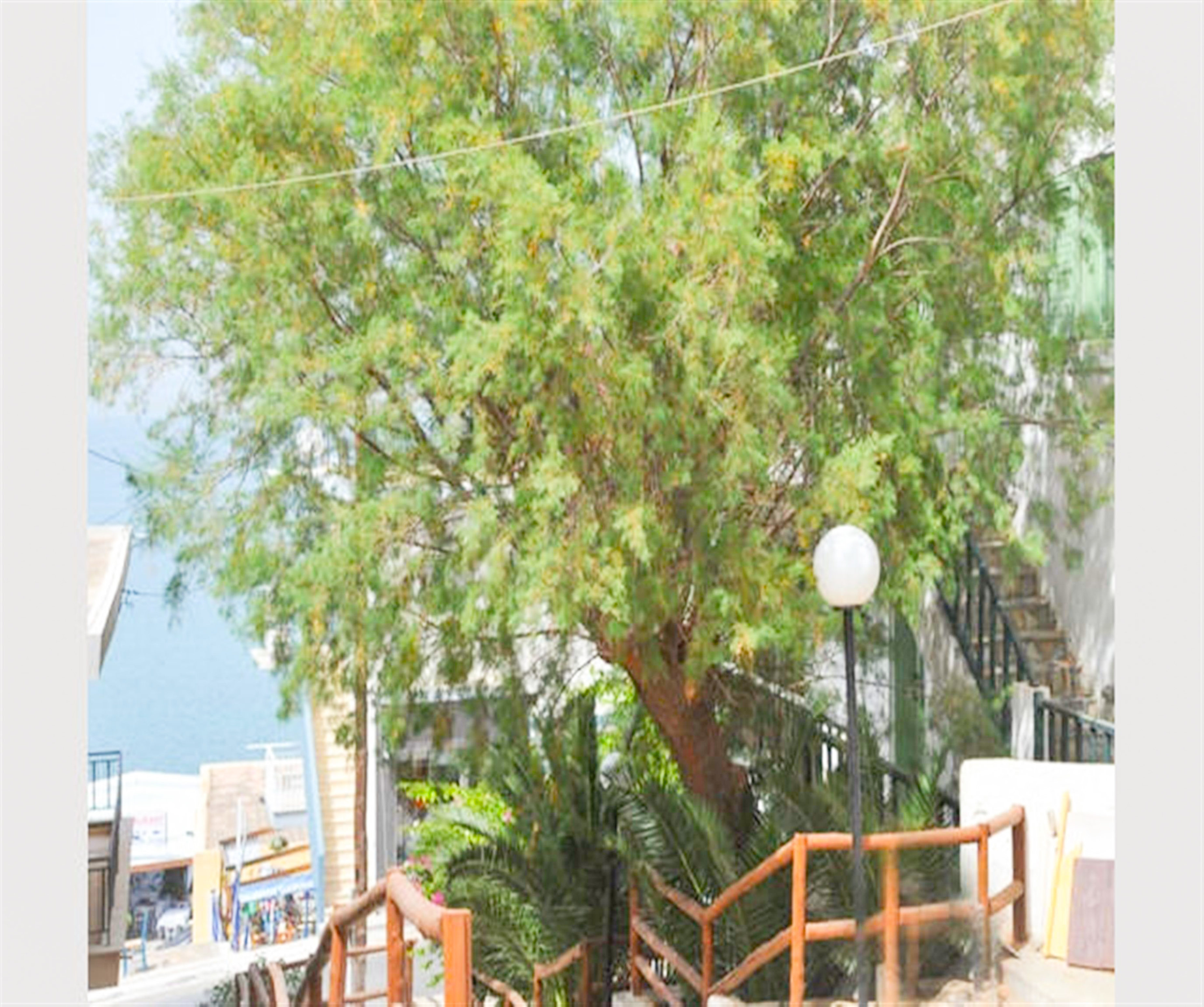 The Traditional Homes of Crete - The Apartments