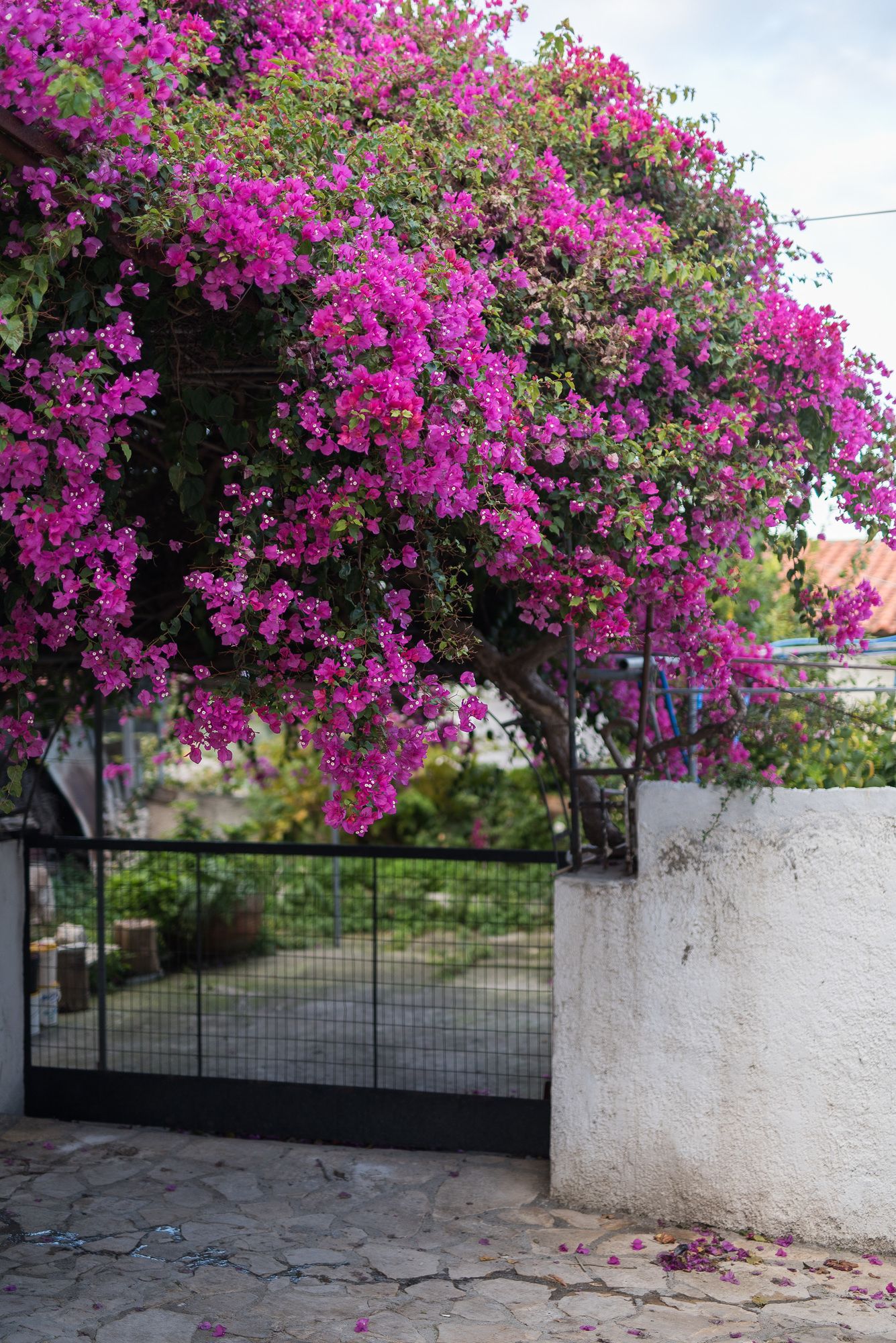 Jasmine Holiday Villa