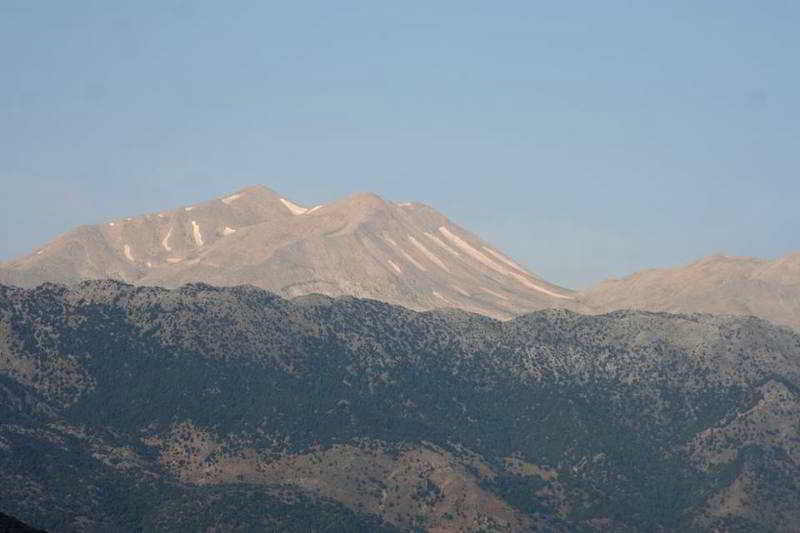 Alkion