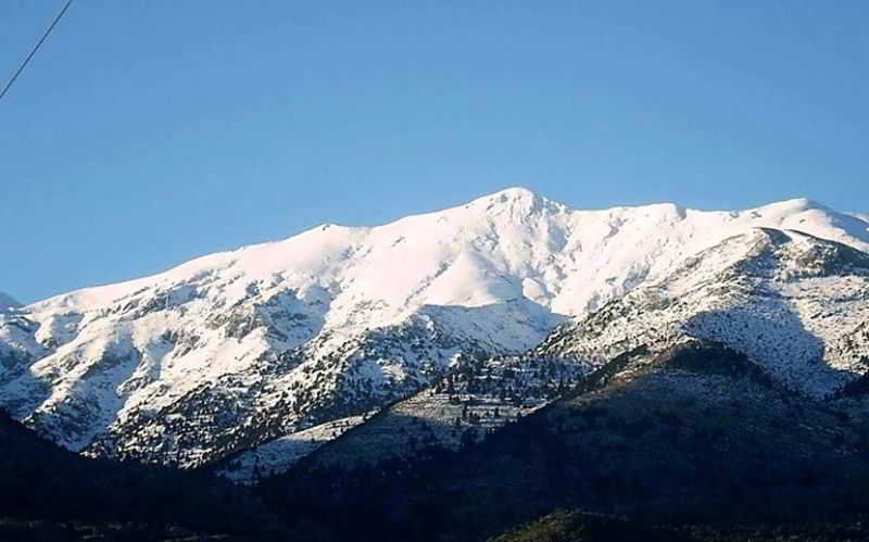 Alkion