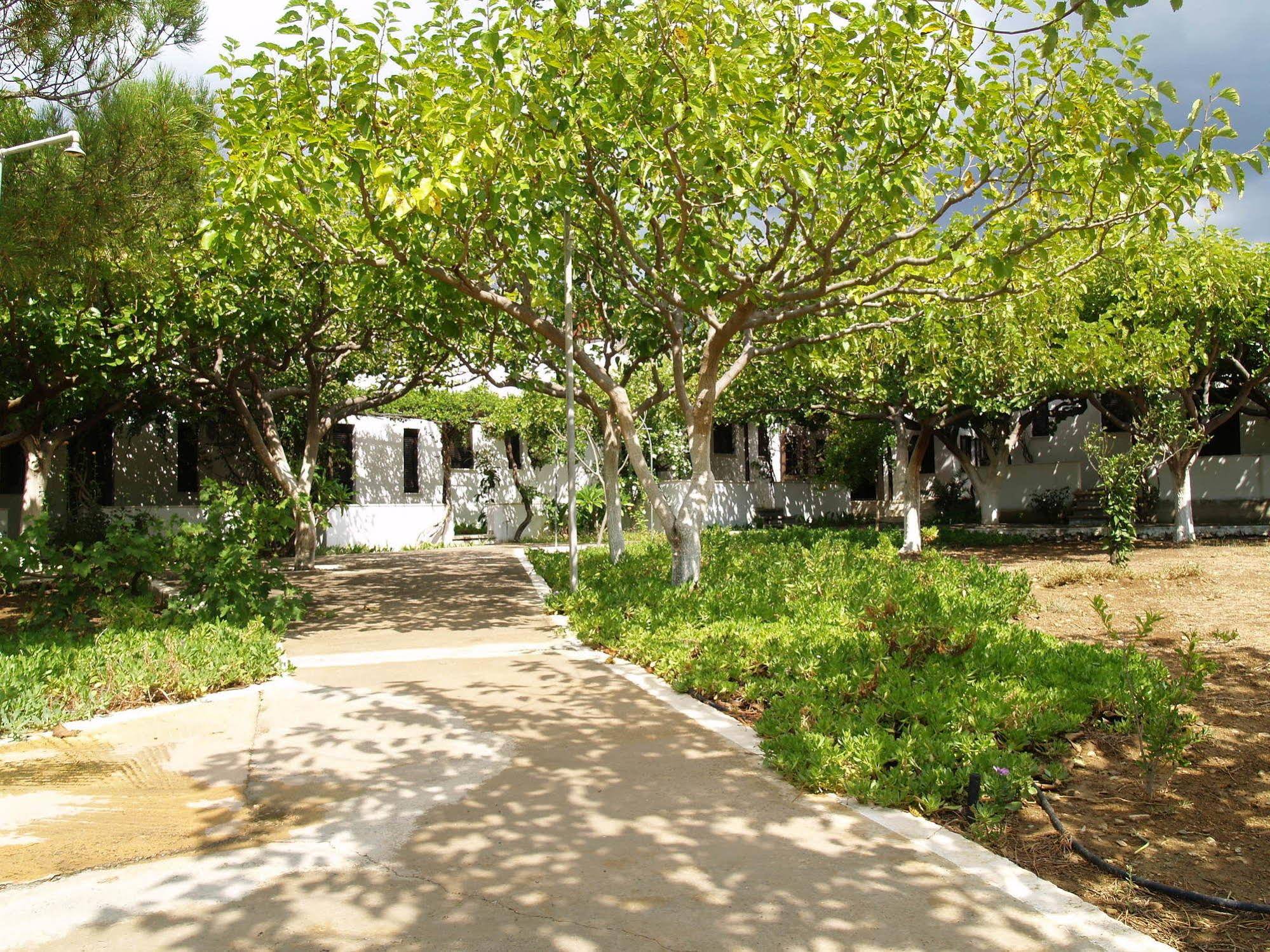Dolphin Apartments