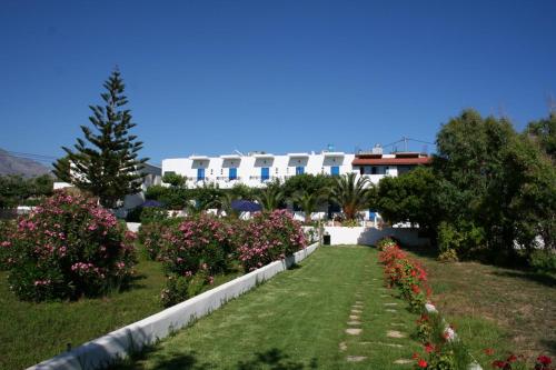 Oasis Apartments