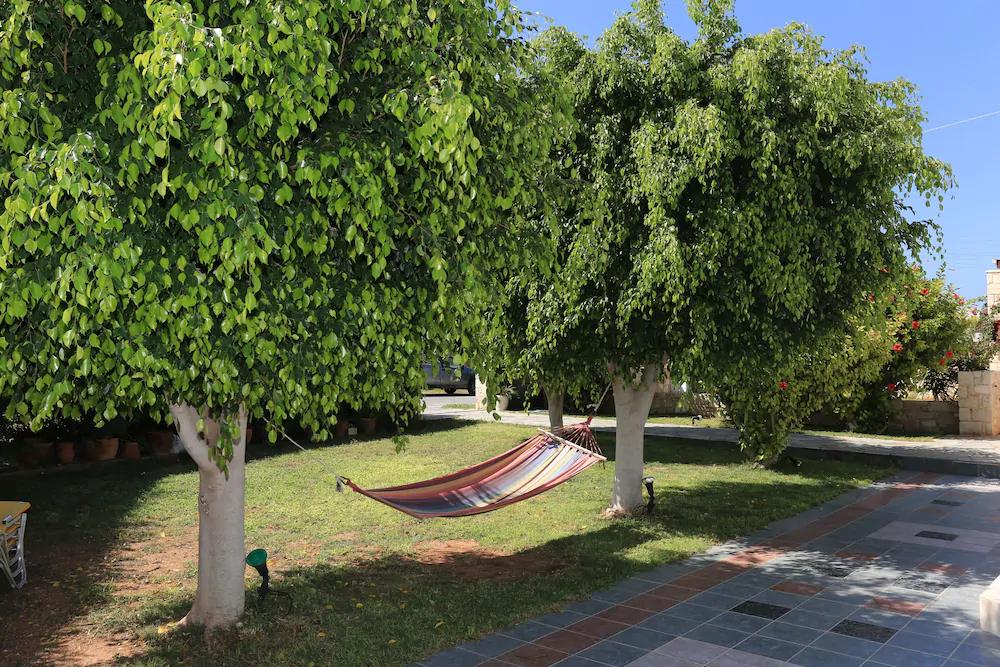 Artemis Apartments