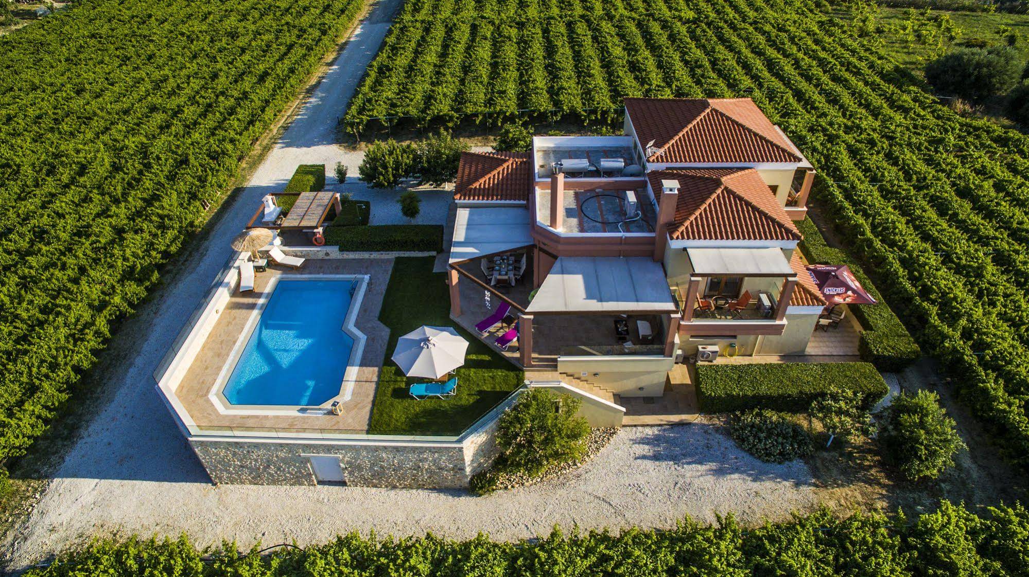 Cretan Vineyard Hill Villa