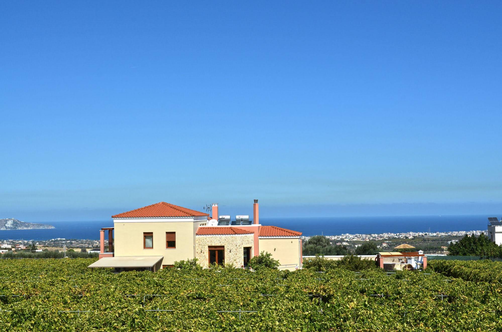 Cretan Vineyard Hill Villa