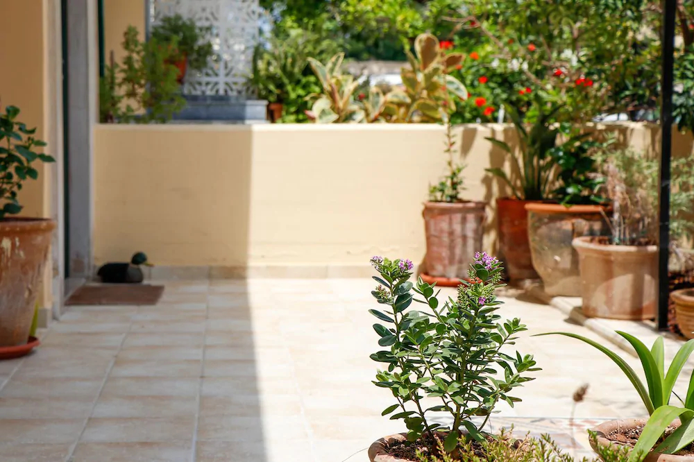 Terpsis Lodge