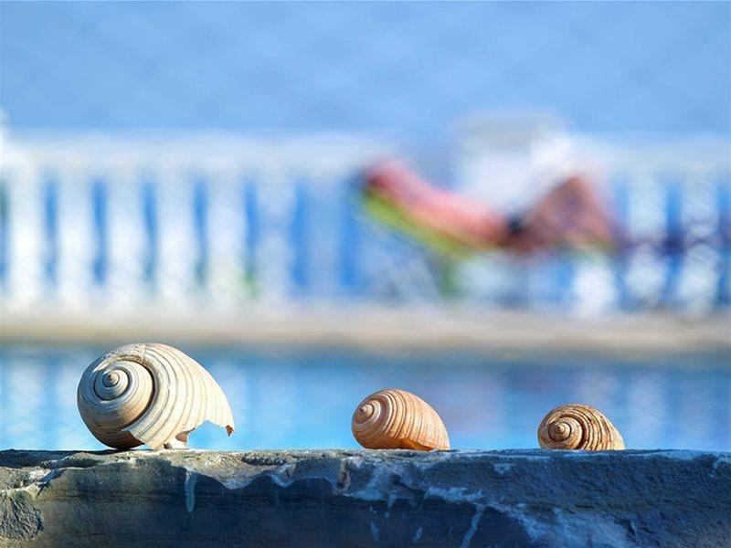 Aroma Creta