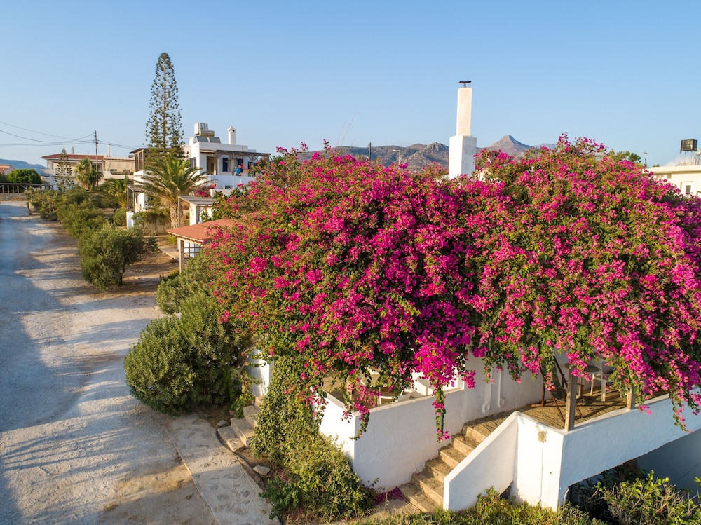 Margarita Apartments