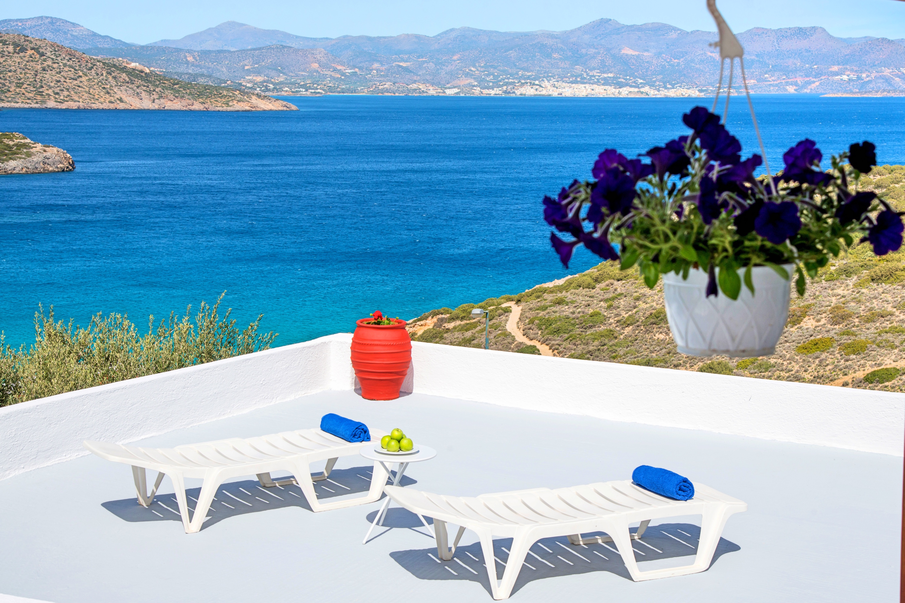 Anemone Seaside Traditional Homes
