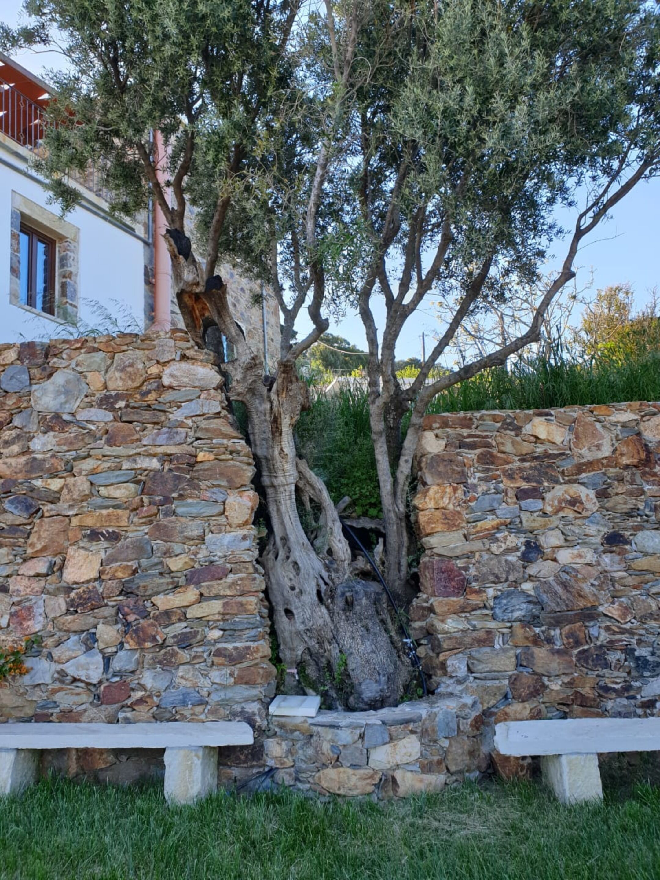 Minos Country Living Apartments