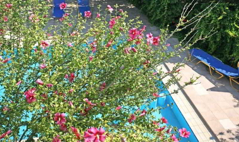 Villa Armonia