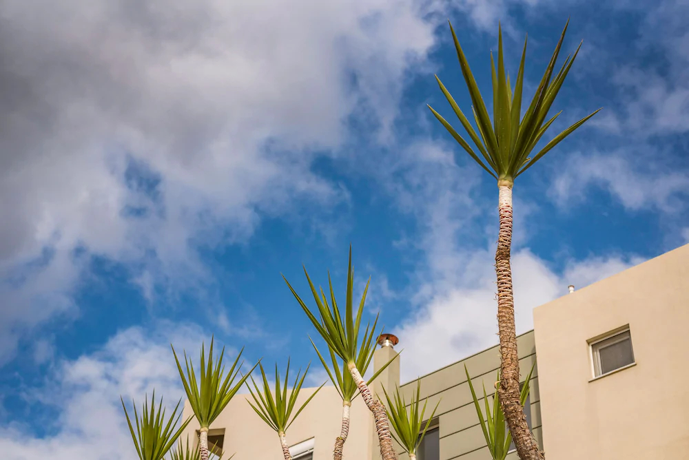 Villa Familia Chania