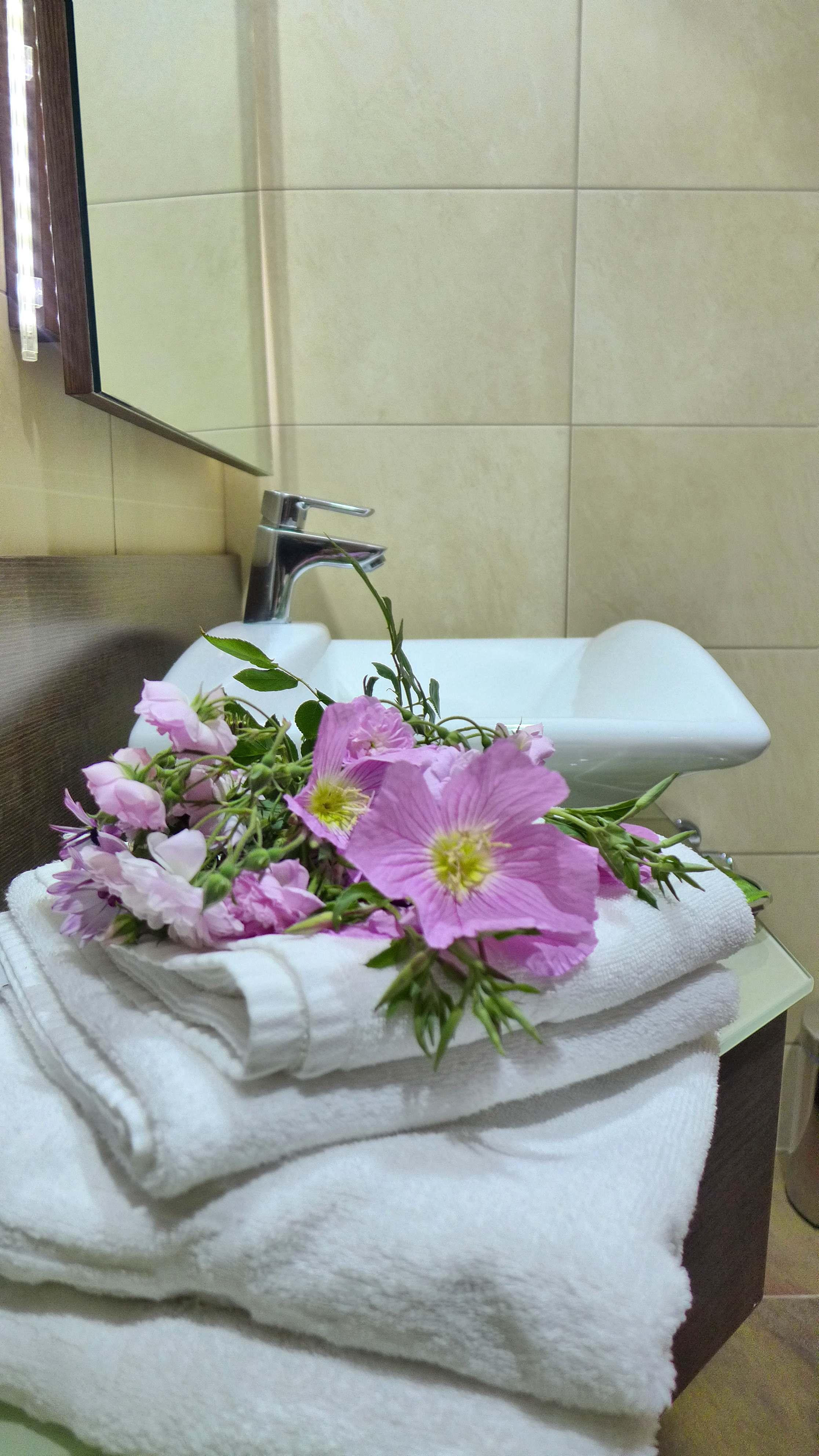 Sofia Resort