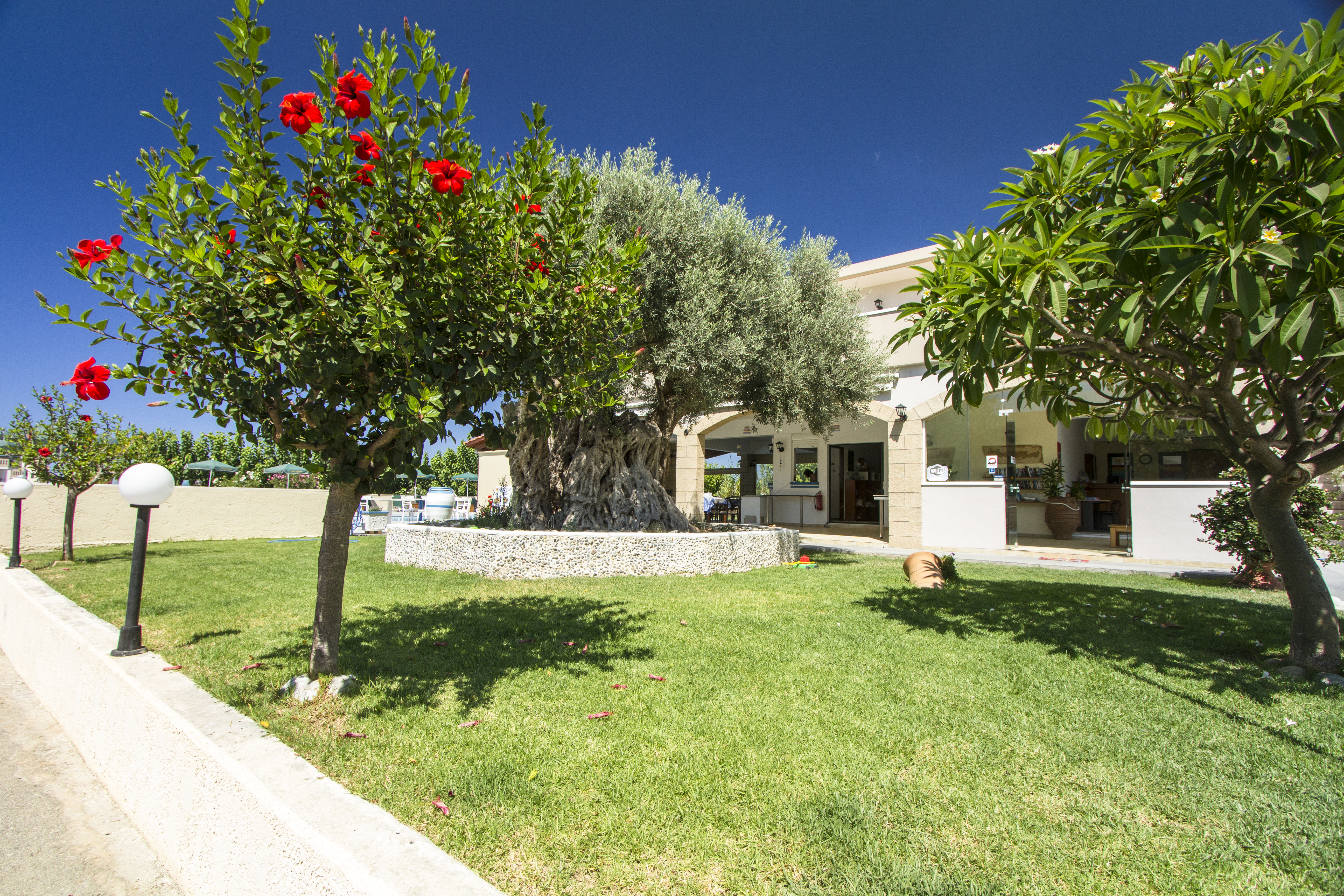 Mediterranean Hotel Apartments & Studios