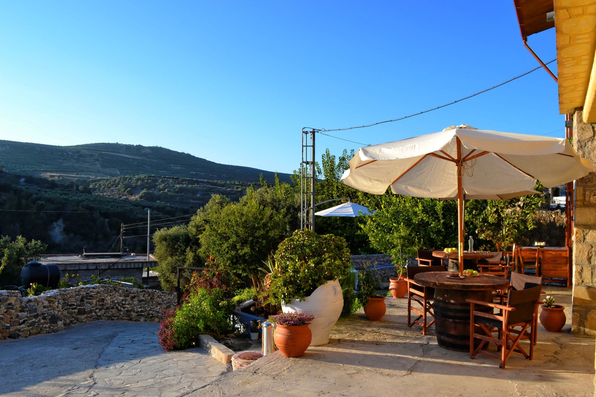 Villa Olive Tree
