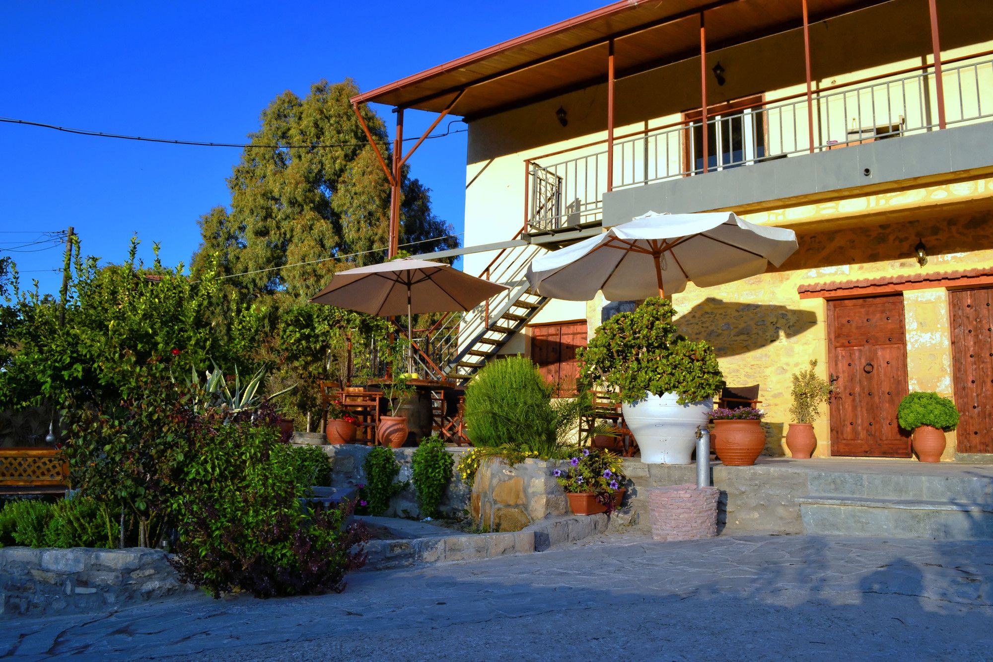 Villa Olive Tree