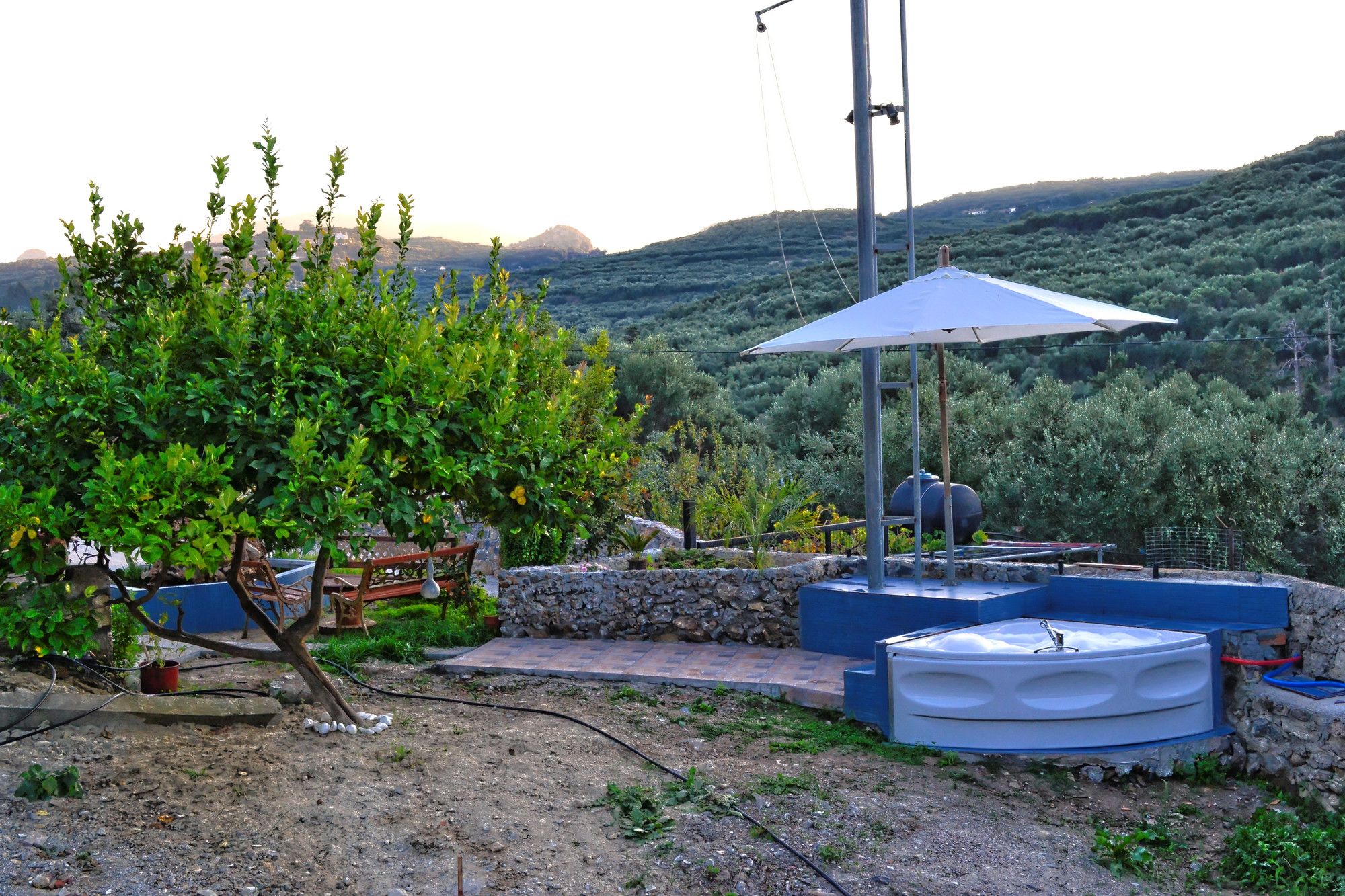 Villa Olive Tree