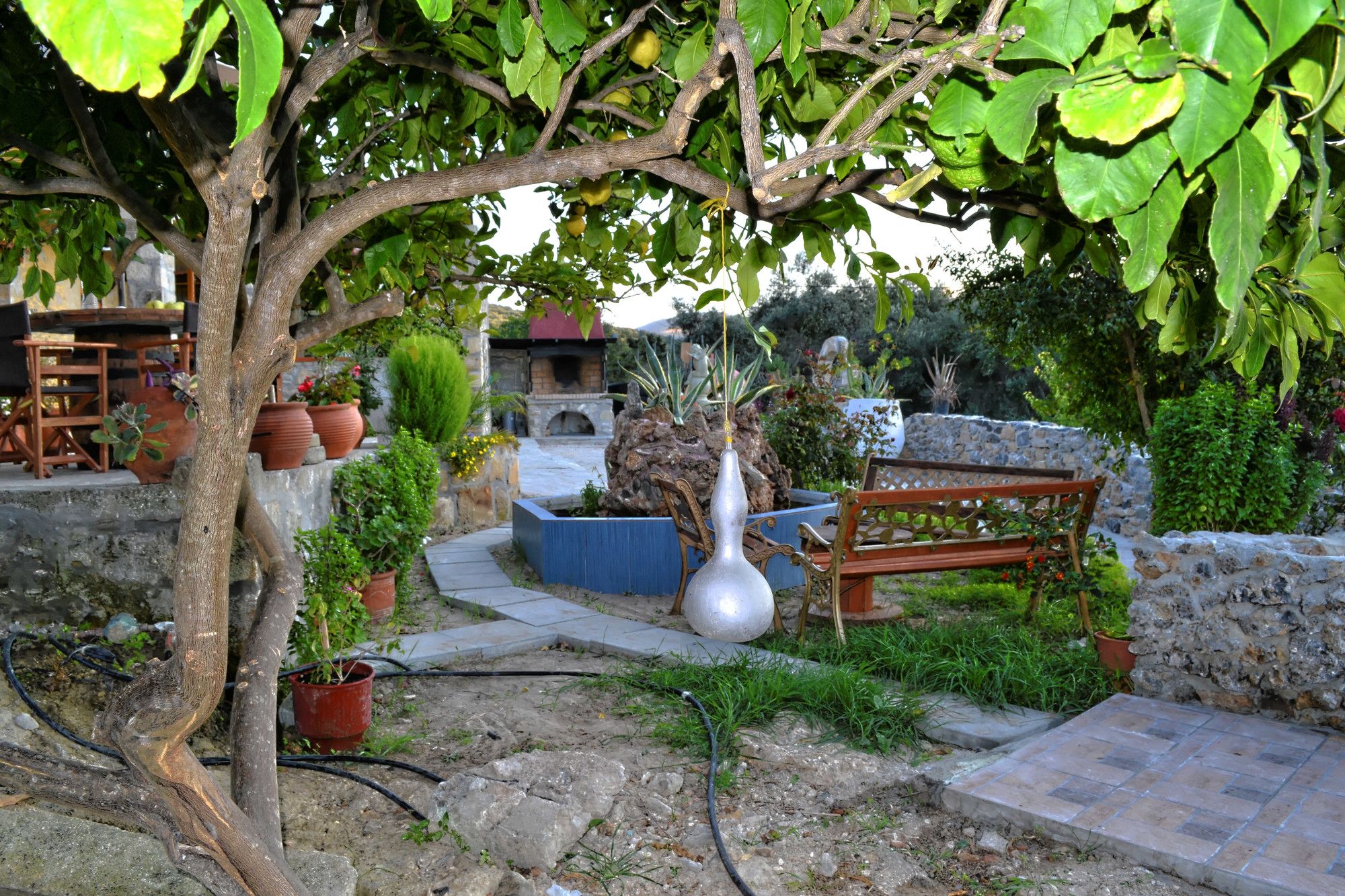 Villa Olive Tree