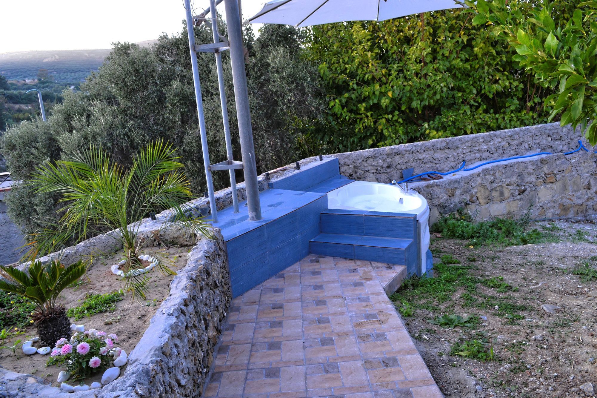 Villa Olive Tree