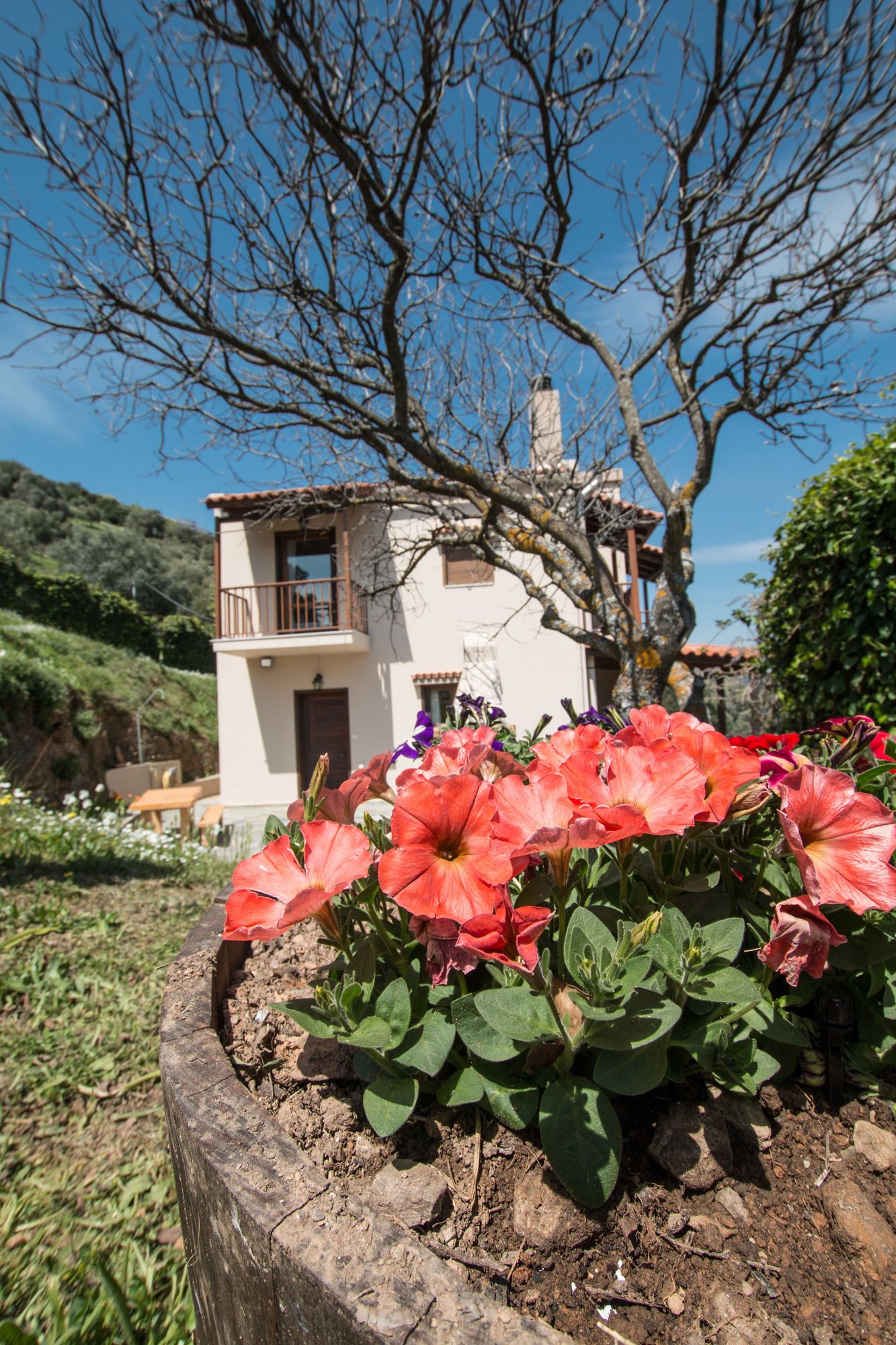 Aori Hillside Villa