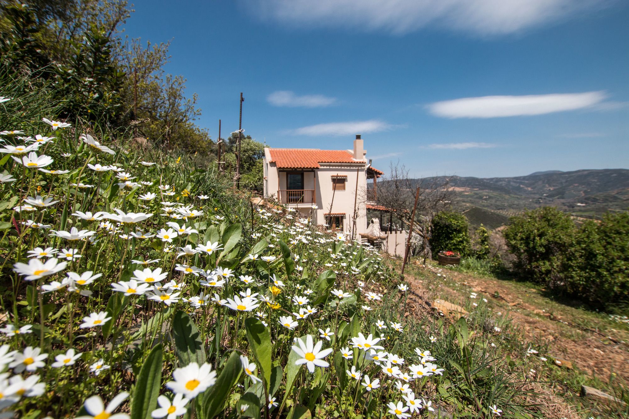 Aori Hillside Villa
