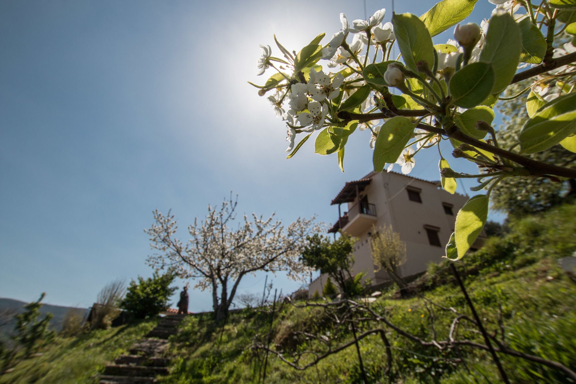 Aori Hillside Villa