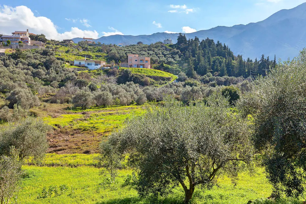 Cretan Residence