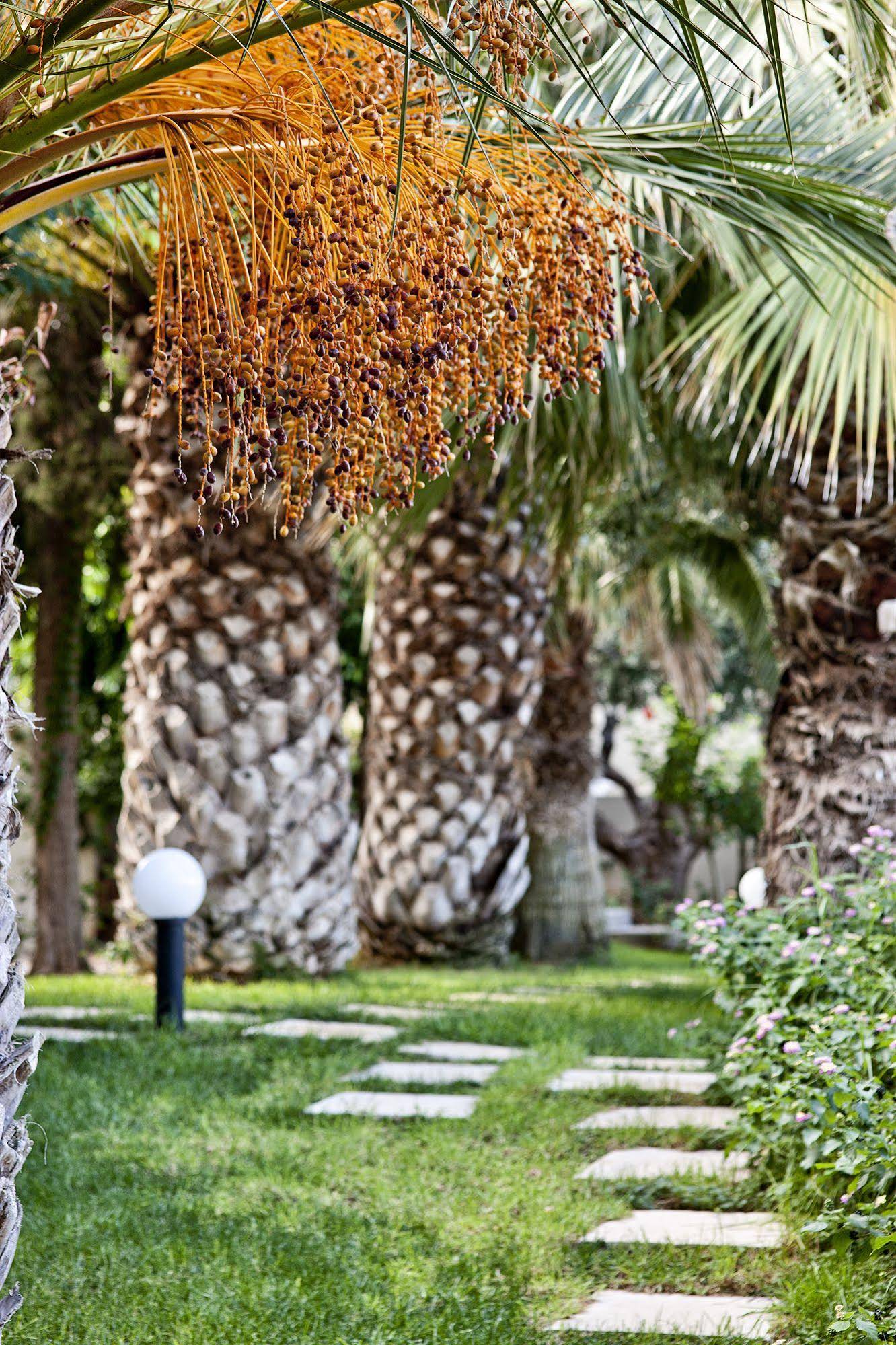 Galaxy Suites Boutique Resort