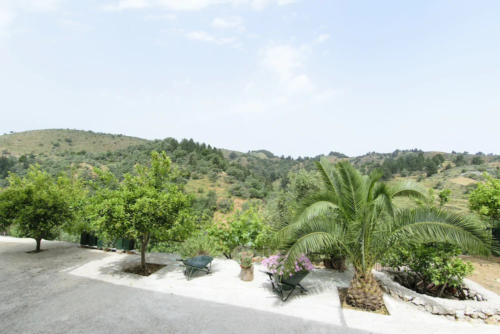 Aoria Traditional House