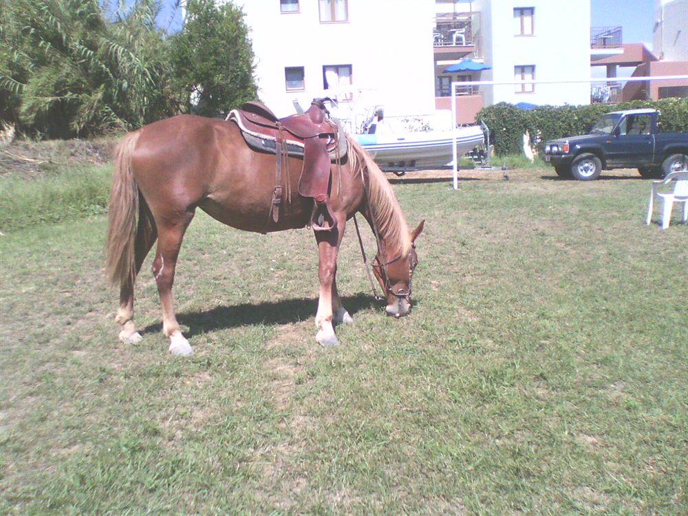 Alexandros M