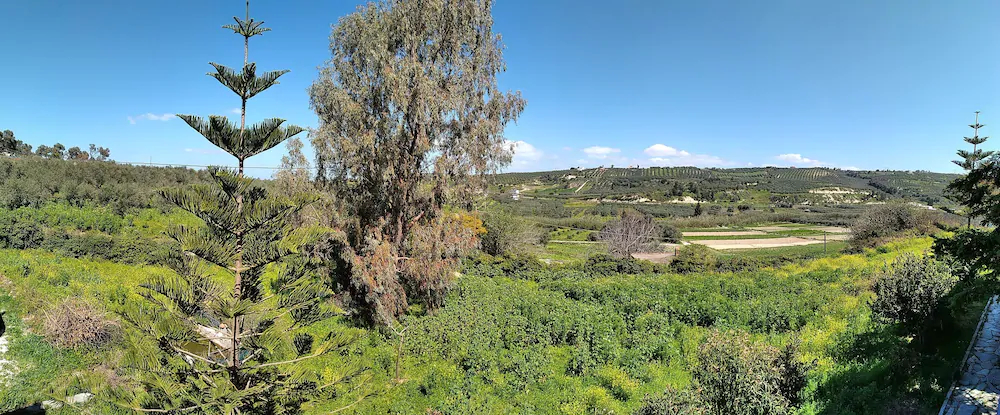 Fifty Shades Of Green
