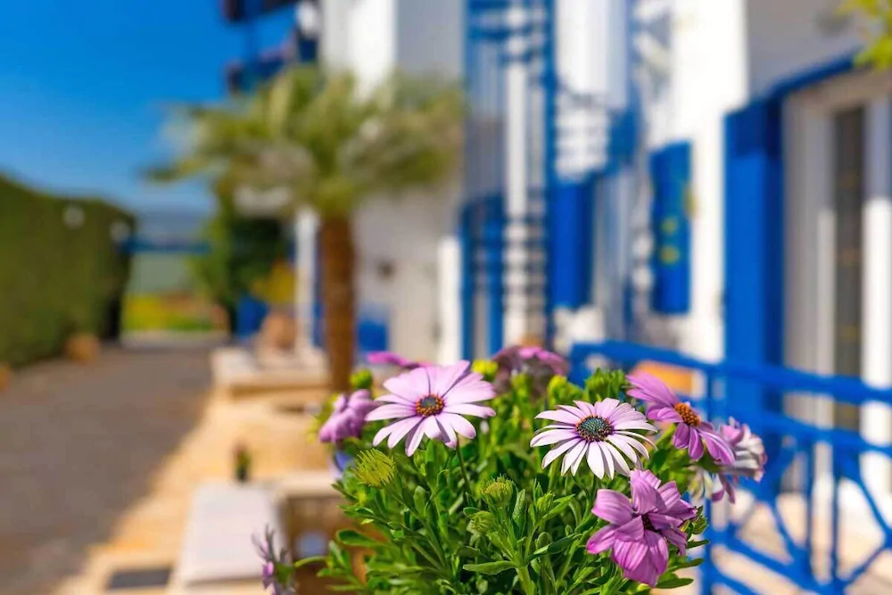 Vitoraki Evi