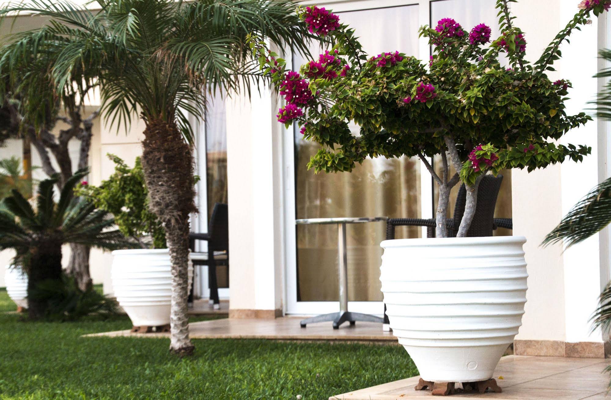 Ammos Apartments & Suites